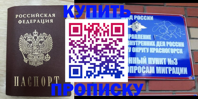 прописка гарантия в Ельце